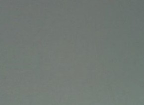 Gray Tint Glass